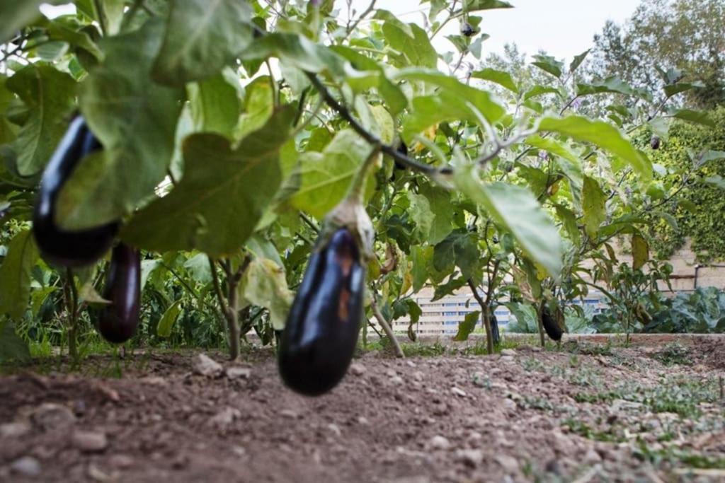 Casa Rural Espasa Espluga de Francolí Εξωτερικό φωτογραφία